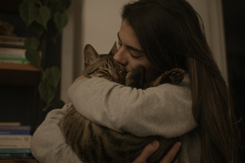 A person holding a relaxed tabby cat close to their face